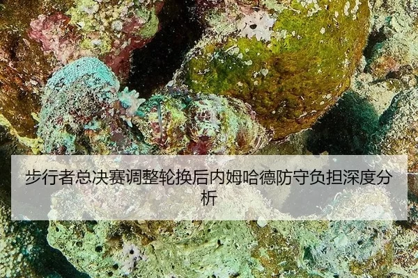 bu-xing-zhe-zong-jue-sai-tiao-zheng-lun-huan-hou-nei-mu-ha-de-fang-shou-fu-dan-shen-du-fen-xi-2-827.jpg