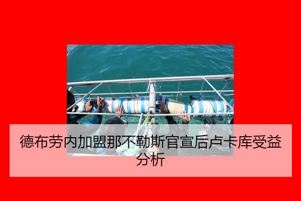 de-bu-lao-nei-jia-meng-na-bu-le-si-guan-xuan-hou-lu-ka-ku-shou-yi-fen-xi-2-516.jpg